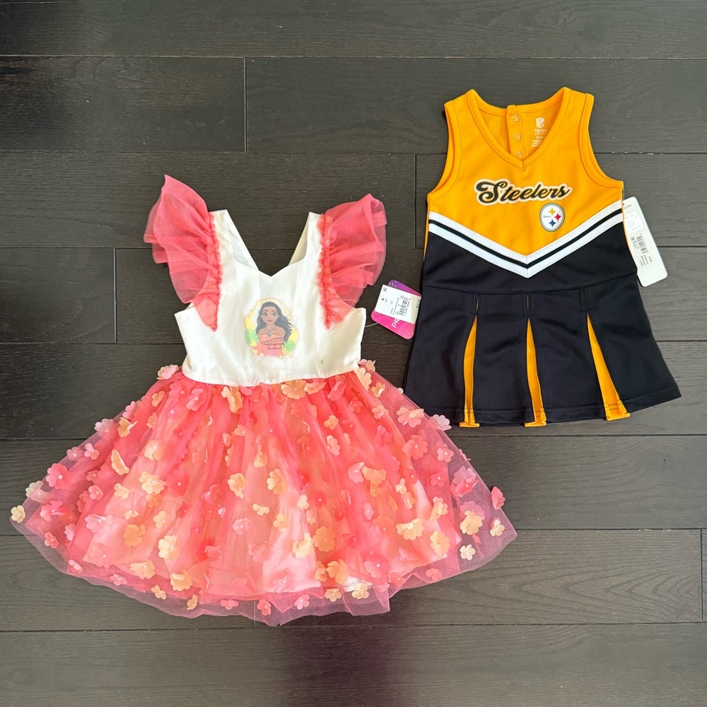 Bundle of toddler girl dresses - 2T